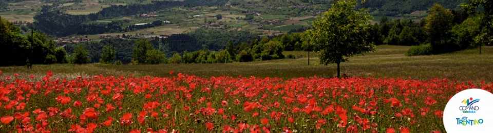 sport natura affitto appartamenti comano terme